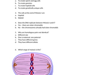 A-level Meiosis Quiz