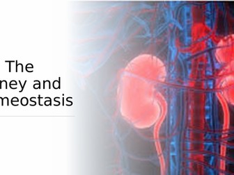 WJEC The kidney and homeostasis