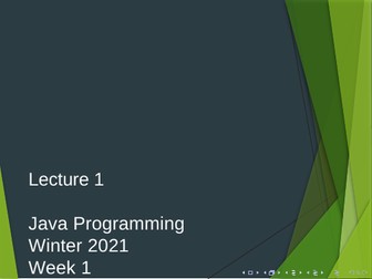 Introduction to Java Programming Lecture Notes