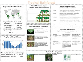 Tropical Rainforest Revision - AQA GCSE
