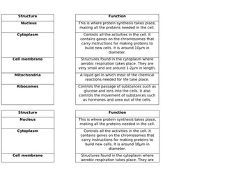 AQA GCSE Animal Cells