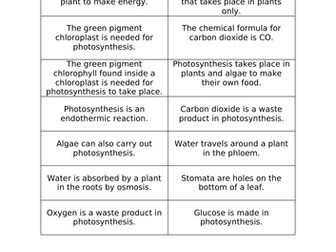 AQA GCSE Photosynthesis