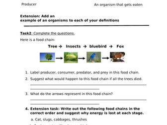 Ecosystem and food chain worksheet