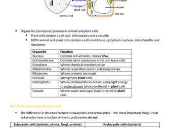 AQA GCSE Trilogy notes and questions 2022