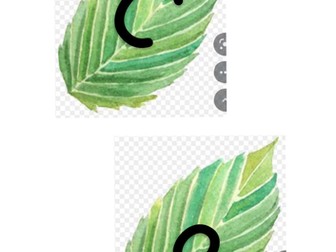 Natural Letters on Leaves EYFS Areas
