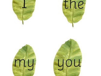 High Frequency Words (RWI Red Words) for EYFS/ Y1 on Acorns & Leaves