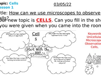 Microscope lesson, y7