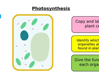 AQA GCSE Biology – B8 Photosynthesis - PowerPoint pack