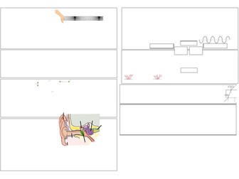 KS3 Sound and Light Revision Summary Sheet (A3) With Answers