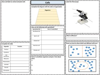 KS3 Cells Revision Poster