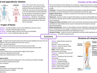 IB SEHS - Topic 1 Anatomy