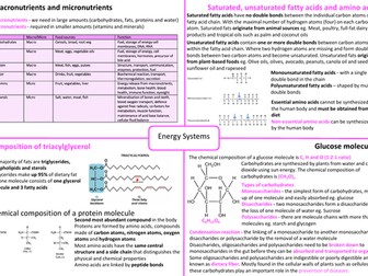 IB SEHS - Topic 3 Energy Systems