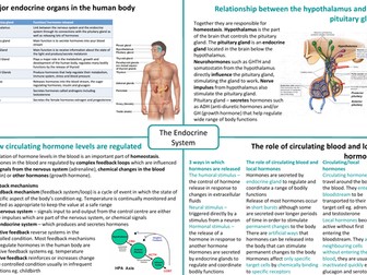 IB HL SEHS - Topic 8 Endocrine System