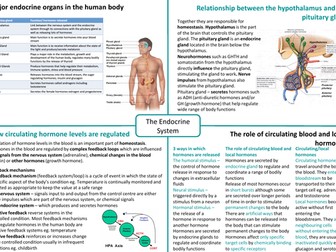 IB HL SEHS - Topic 8 Endocrine System