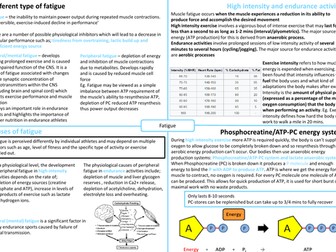 IB HL SEHS - Topic 9 Fatigue