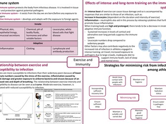 IB HL SEHS - Topic 13 Exercise & Immunity