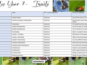 Full term of work textiles KS3: Insects