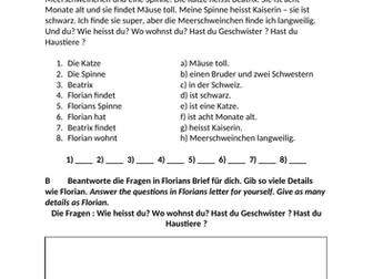 Y7 German - Wie ist dein Haustier?