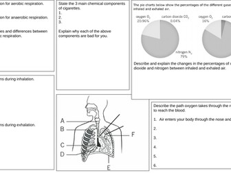 Breathing and Respiration Revision MAT with answers