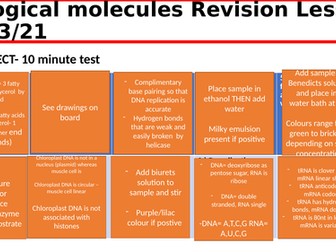 Biological molecules revision lessons