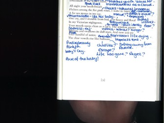 Sylvia Plath Annotations