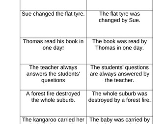 Active and Passive Voice Cards