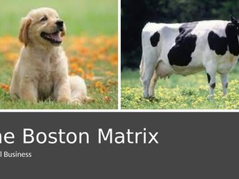 The Boston Matrix - basic introduction