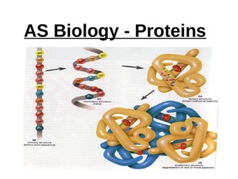 BUNDLE of Pearson Edexcel AS Level Biology Unit 1: Molecules, Transport & Health