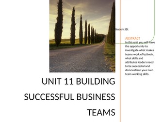 Unit 11 workbook