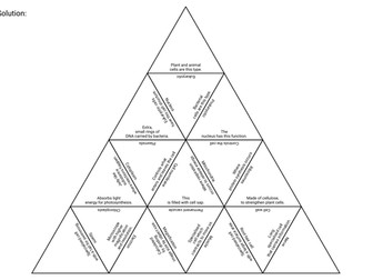 Cell Structure Tarsia Puzzle