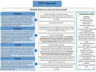 PACE Approach -scenario scripts