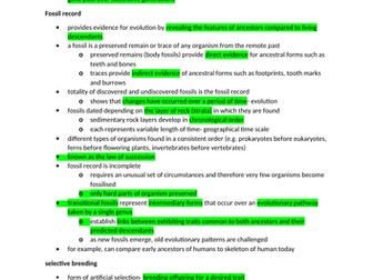 IB biology topic 5- evolution