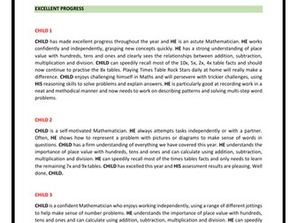 End of Year 2 Reports - Maths Comments