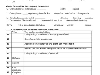 Key Word/Vocab Tests for Activate 1 KS3 Science