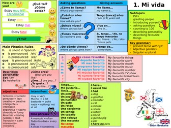 Knowledge Organiser Mi vida Viva 1 Module 1