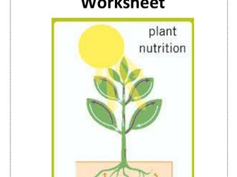 Nutrition in Plants