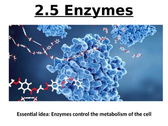 IB Biology Topic 2 Molecular Biology & Topic 8 Metabolism, Respiration & Photosynthesis