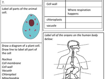Year 7 science revision worksheet