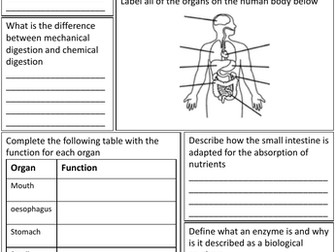 Year 8 science revision worksheet