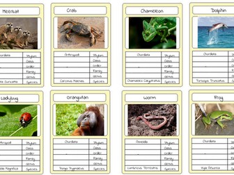 Classification Top Trumps