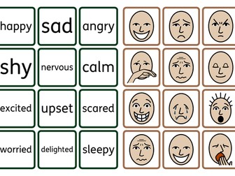 Zones of Regulation Emotions Matching