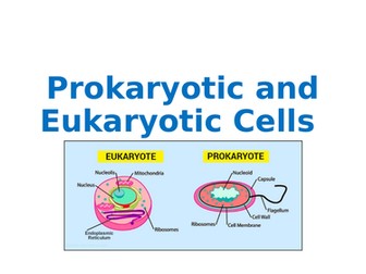 Introduction to Cell Biology- Ascentis