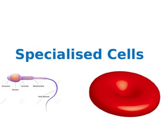 Specialised cells