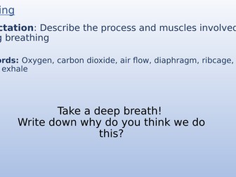 KS3 Respiration - Breathing and structure of lung