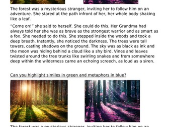 Similes and Metaphors Year 2