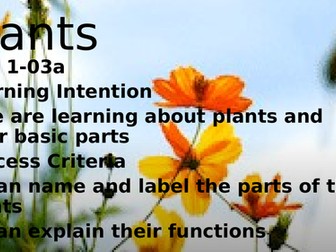 Plants and Flowers PPT