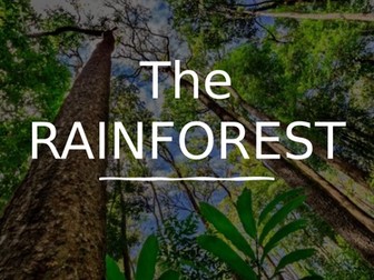 The Rainforest - Location