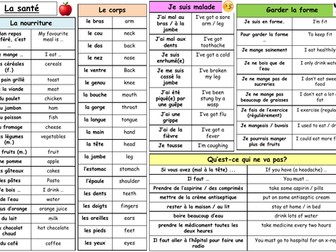 GCSE French - La santé knowledge organsier (healthy living)