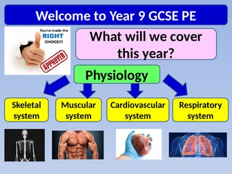 Functions of the Skeletal System Lesson and Resources