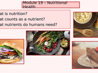 Health & Social Care Level 3 BTEC Unit 19